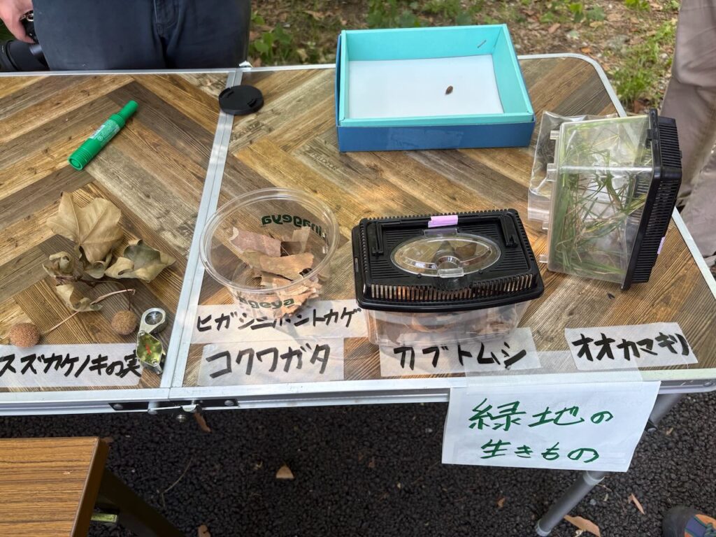 緑地の生きものを紹介しました