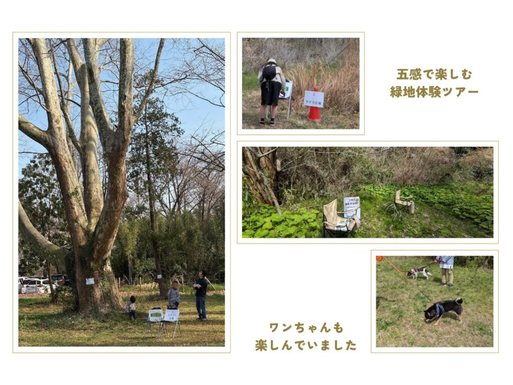 スタンプラリーのようす